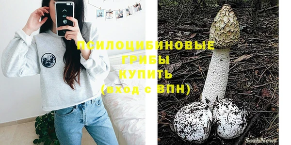 прущие грибы Армянск