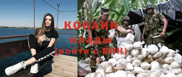 прущие грибы Армянск