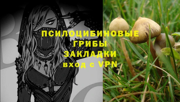 мяу мяу мука Алзамай