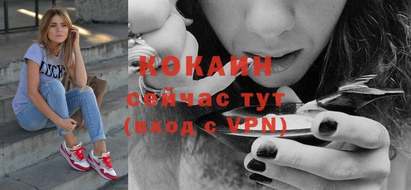 прущие грибы Армянск