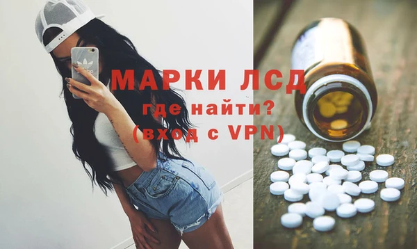 прущие грибы Армянск